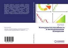 Copertina di Конкурентоспособность в мезоуровневом измерении