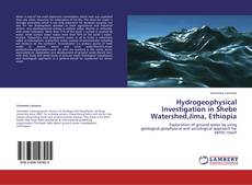 Buchcover von Hydrogeophysical Investigation in Shebe Watershed,Jima, Ethiopia