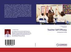 Capa do livro de Teacher Self Efficacy 