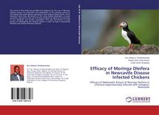 Capa do livro de Efficacy of Moringa Oleifera in Newcastle Disease Infected Chickens 