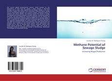 Buchcover von Methane Potential of Sewage Sludge