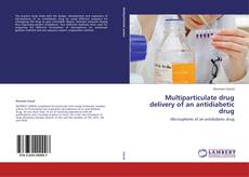 Обложка Multiparticulate drug delivery of an antidiabetic drug