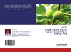 Copertina di Effect of plant growrh regulator on rooting in cutting of fig