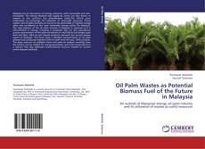 Portada del libro de Oil Palm Wastes as Potential Biomass Fuel of the Future in Malaysia
