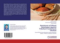 Bookcover of Resistance of Wheat Genotypes Against Tribolium Castaneum (Herbst)