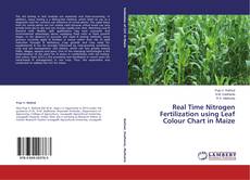 Copertina di Real Time Nitrogen Fertilization using Leaf Colour Chart in Maize
