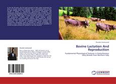 Bookcover of Bovine Lactation And Reproduction