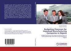 Bookcover of Budgeting Processes for Improved Manufacturing Companies in Nigeria