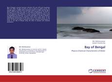 Capa do livro de Bay of Bengal 