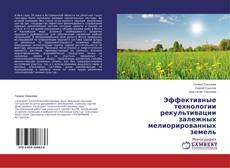 Copertina di Эффективные технологии рекультивации залежных мелиорированных земель