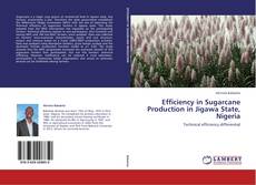 Capa do livro de Efficiency in Sugarcane Production in Jigawa State, Nigeria 