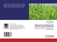 Capa do livro de Advances in Engineering Rice for Saline Tolerance 