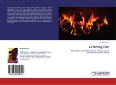 Buchcover von Catching Fire