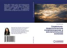 Capa do livro de Cоциально-педагогическое сопровождение в воспитательной колонии 