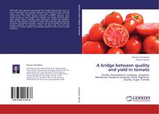 Copertina di A bridge between quality and yield in tomato