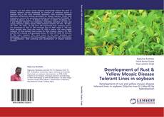 Portada del libro de Development of Rust & Yellow Mosaic Disease Tolerant Lines in soybean