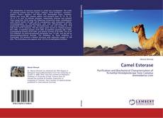 Capa do livro de Camel Esterase 