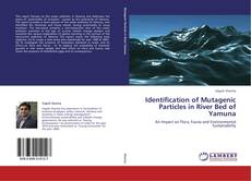 Couverture de Identification of Mutagenic Particles in River Bed of Yamuna
