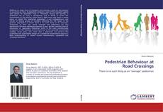 Pedestrian Behaviour at Road Crossings kitap kapağı