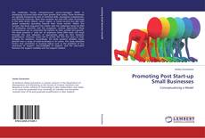 Capa do livro de Promoting Post Start-up Small Businesses 