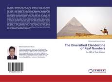 The Diversified Clandestine of Real Numbers kitap kapağı