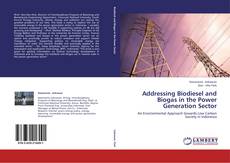 Addressing Biodiesel and Biogas in the Power Generation Sector kitap kapağı