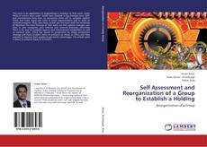 Buchcover von Self Assessment and Reorganization of a Group to Establish a Holding