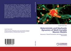 Capa do livro de Deterministic and Stochastic Dynamics of Multi-Variable Neuron Models 