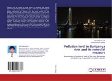 Bookcover of Pollution level in Buriganga river and its remedial measure