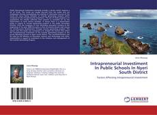 Bookcover of Intrapreneurial Investiment In Public Schools In Nyeri South District