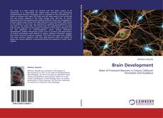 Borítókép a  Brain Development - hoz