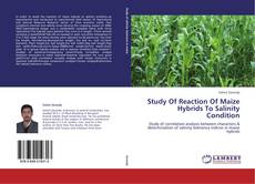 Study Of Reaction Of Maize Hybrids To Salinity Condition的封面