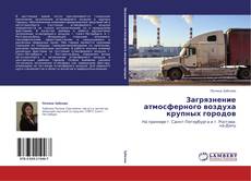 Buchcover von Загрязнение атмосферного воздуха крупных городов