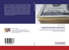 Capital Structure Decision kitap kapağı