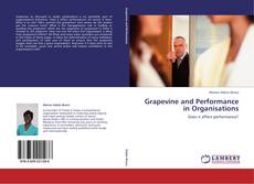 Capa do livro de Grapevine and Performance in Organisations 