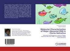 Bookcover of Molecular Characterization of Major ribosomal DNA in Clarias batrachus