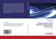 Fundamentals of the systemic organizations management kitap kapağı