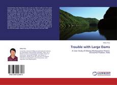 Capa do livro de Trouble with Large Dams 