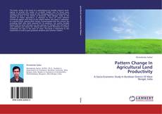 Bookcover of Pattern Change In Agricultural Land Productivity