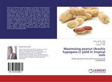 Couverture de Maximizing peanut (Arachis hypogaea L) yield in tropical soils