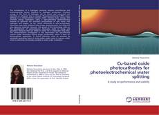 Cu-based oxide photocathodes for photoelectrochemical water splitting kitap kapağı