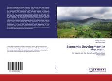 Обложка Economic Development in Viet Nam: