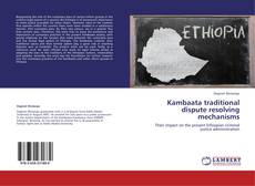 Обложка Kambaata traditional dispute resolving mechanisms