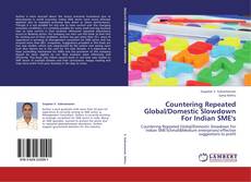 Buchcover von Countering Repeated Global/Domestic Slowdown For Indian SME's