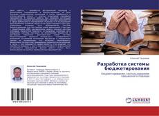 Buchcover von Разработка системы бюджетирования