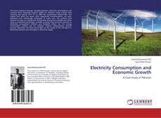 Bookcover of Electricity Consumption and Economic Growth