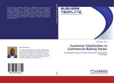 Customer Satisfaction in Commercial Baking Sector kitap kapağı