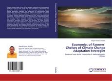 Buchcover von Economics of Farmers’ Choices of Climate Change Adaptation Strategies