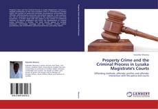 Property Crime and the Criminal Process in Lusaka Magistrate's Courts kitap kapağı