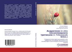 Buchcover von Андрогенез in vitro гексаплоидного тритикале (× Triticosecale Wittm.)